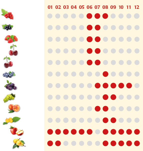 Erntekalender für Obst